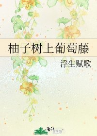柚子树上葡萄藤