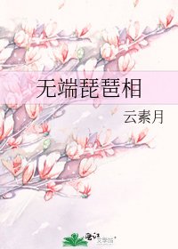 无端琵琶相