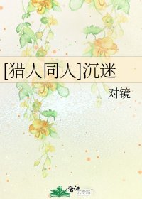 [猎人同人]沉迷