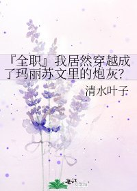 『全职』我居然穿越成了玛丽苏文里的炮灰？